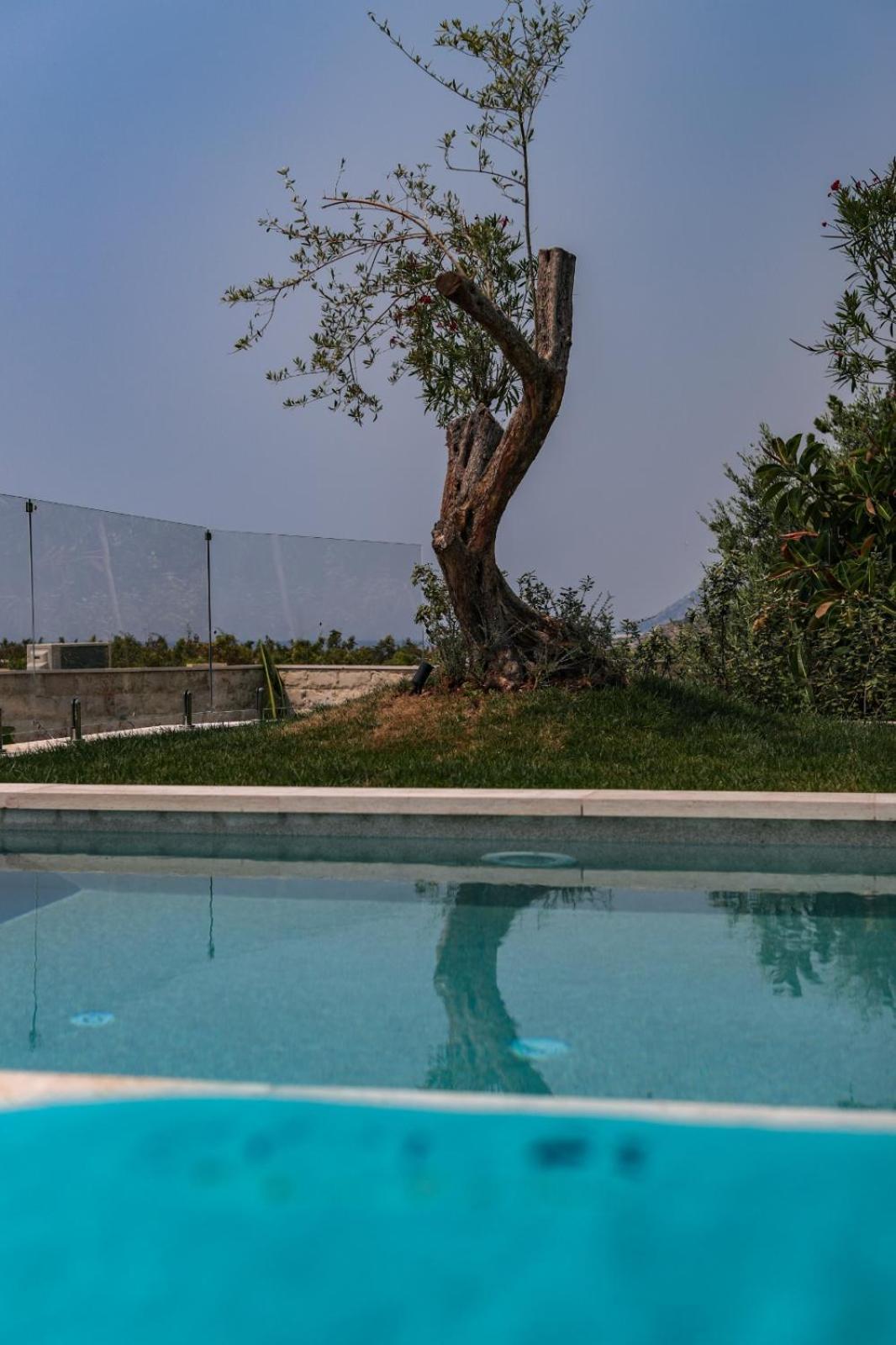 Drymades Inn Resort ديرمي المظهر الخارجي الصورة